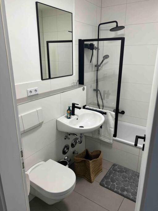 Apartment Wunderschoene 1-zimmer Wiesbaden